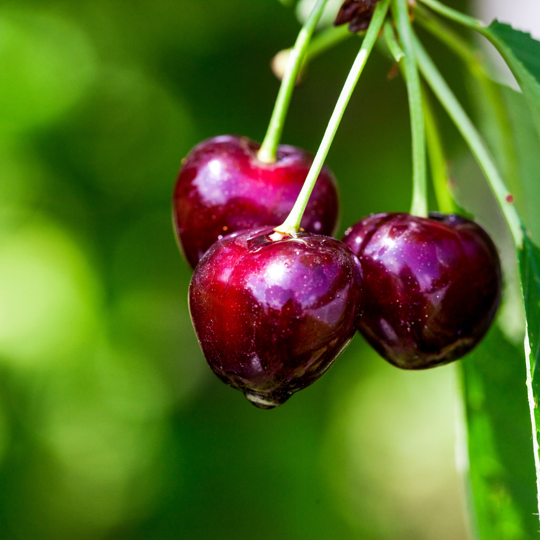 Organic Cherry jam without added sugar nor sweeteners, 250g