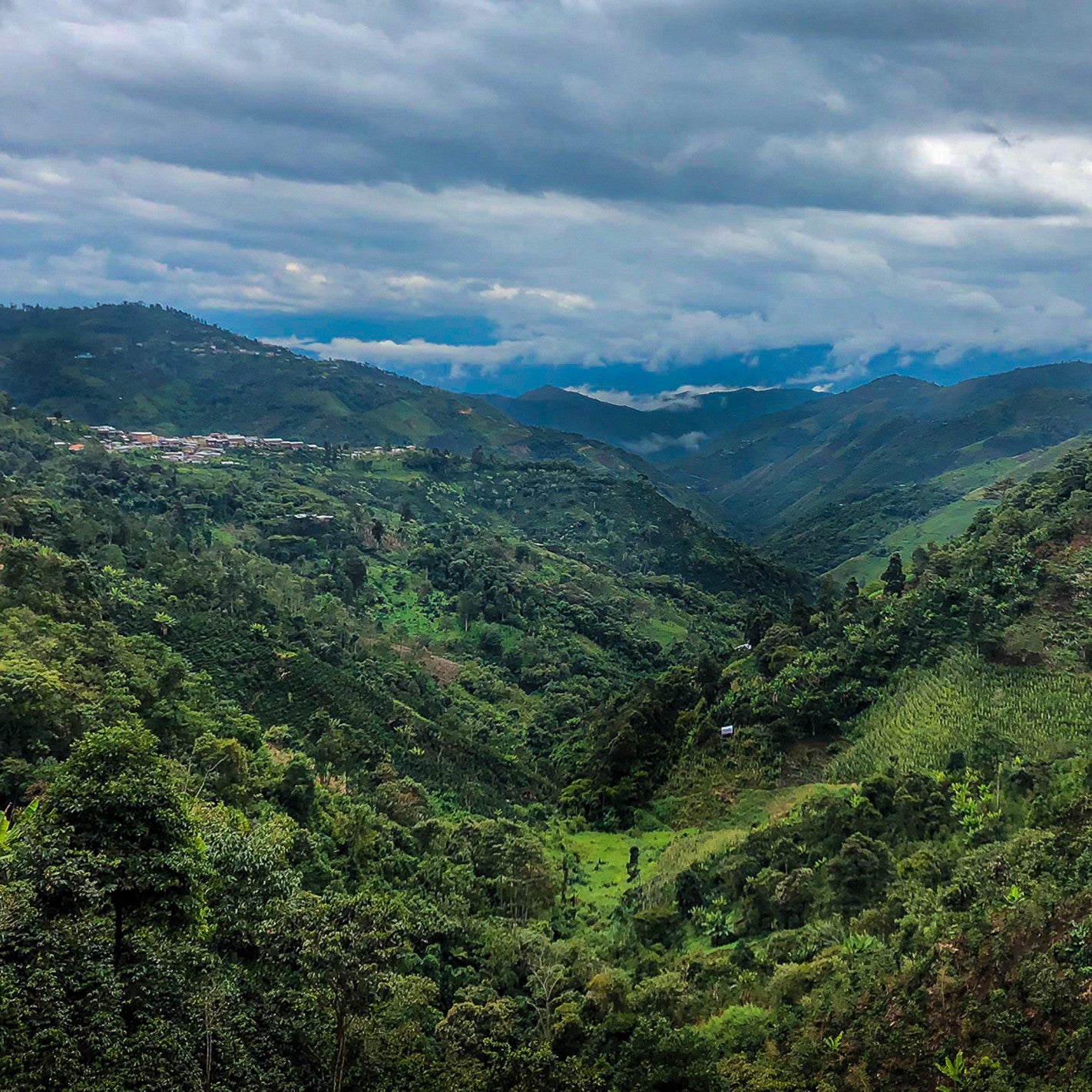 Coffee El Eden, Peru, Soft fruity profile, 250 g. High quality speciality coffee